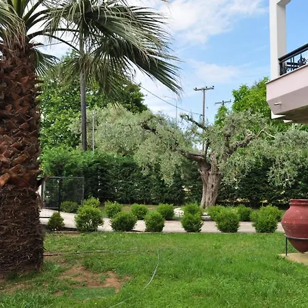 Irini 公寓式酒店 萨索斯